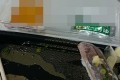 そうそうコレコレ!!ありそうでなかった寿司のパックに求めていた究極の進化が実現!