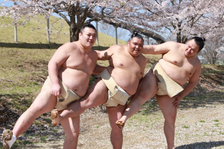 麗らかな桜の下でお相撲さんが「はいポーズ！」春の喜びを全身で表現している写真が話題に!