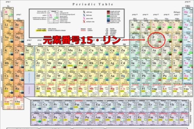 原子番号１５の「リン」が発見された経緯がいまの時代で見ると面白い