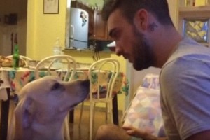 「反省してるからもう許してよぉ」説教中に反省を猛アピールするワンちゃんがかわいい