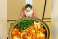 「一緒にあったまらニャイ?」料理に合わせてコスプレするニャンコが可愛すぎ!