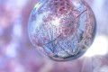 思わずため息…ガラス玉に桜を閉じ込めたかのような写真が、うっとりするほど美しい