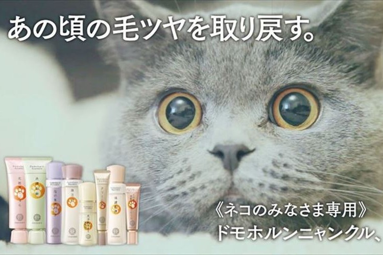 えっ!?ホント? ネコ用基礎化粧品「ドモホルンニャンクル」誕生…その他企業でも斬新すぎる商品が発売