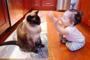 天真爛漫な赤ちゃんのおしゃべりに危機感を感じた!?ニャンコ 微笑ましい光景も最後には…