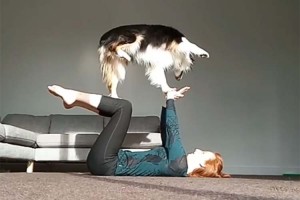 【動画】飼い主とヨガをするワンコ。いやいや、実は期待以上のことをやってくれるんです！