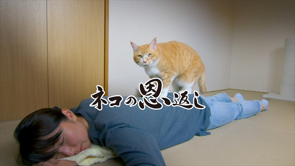 movie13_R