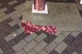 牛肉が落ちていると思ったら、スカーフだった!思わず目を疑ってしまう勘違い【9選】