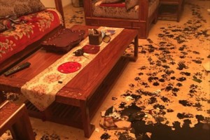 犯人はだれ？3時間留守にしたら・・床が大変なことに！ベッドに残された足跡から犯人を追え！！