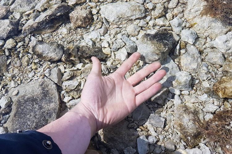 ただ手を伸ばしているだけ…?実は、この写真にある驚愕の事実が隠されていた!