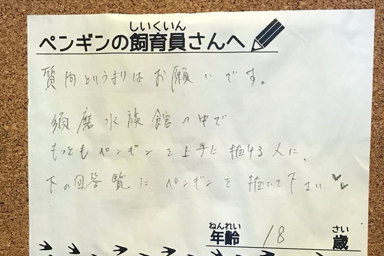 「一番上手な人がペンギンを描いてください」質問者からのムチャぶりに本気で応える飼育員が話題に