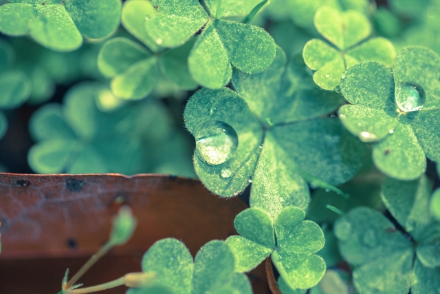 39326bb3a1a8be06ac1cc8a48ce2f06f_s