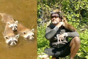 懐かれすぎだろ!! 3匹のアライグマに気に入られたオッサン…釣りどころじゃなくなった