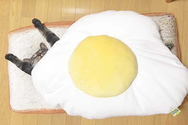朝食はバンザイサンド!? 疲れ切って寝ている人間の子供のようなニャンコが可愛すぎる!!