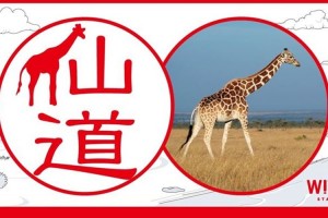 名字に動物が隠れている!?ハンコを作って絶滅危惧種を支援する「WITH STAMP」が面白い!!