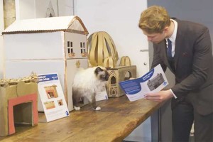 ニャンコさま、どのお住まいがお好み？ネコのための不動産屋がオープン！