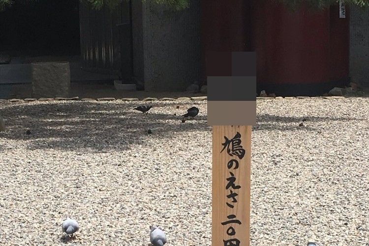 「こいつ…何かを訴えている!?」“無言の圧力”を感じる1枚の画像が話題に!!