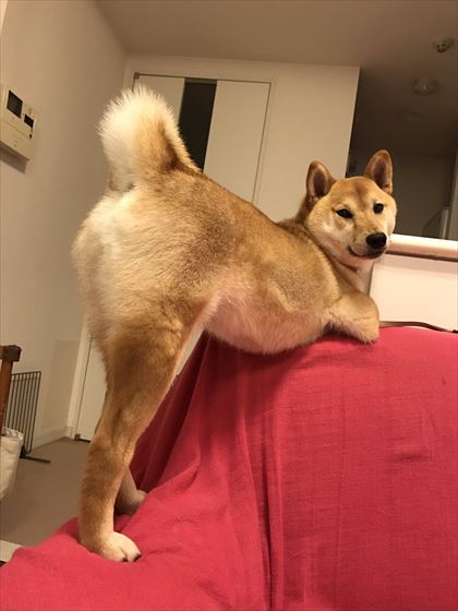 tw_01_420