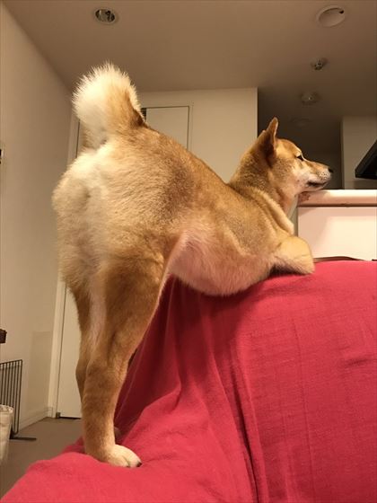 tw_02_420