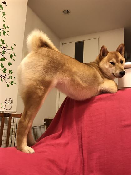 tw_03_420