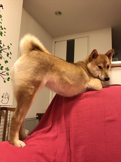 tw_04_420