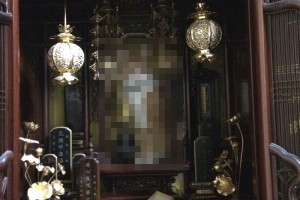 猫観音が現れた！？家に帰ったら仏壇が大変なことになっていた…！