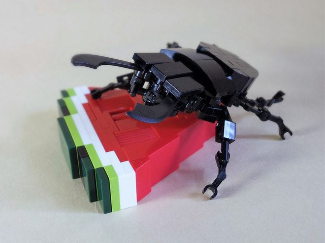 34791159502_f92218ab14_z_R