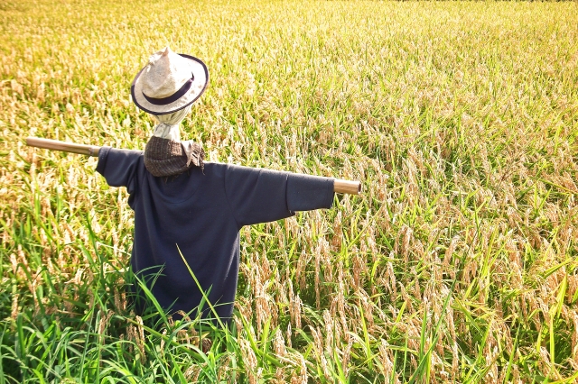 95b7ab20d602b23bdc8e2419bda23d83_s