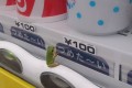 この季節になると現れる！自販機の飲み物を飲みたそうに眺めている自販機ガエルが超かわいい