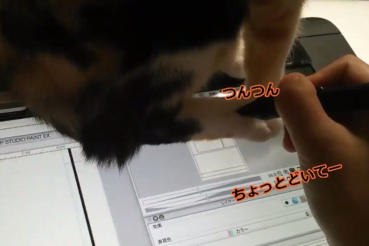 【発見！液タブは猫越しでいける！】液タブの上で邪魔な猫ちゃんをどかそうとしたら思わぬ新発見が！