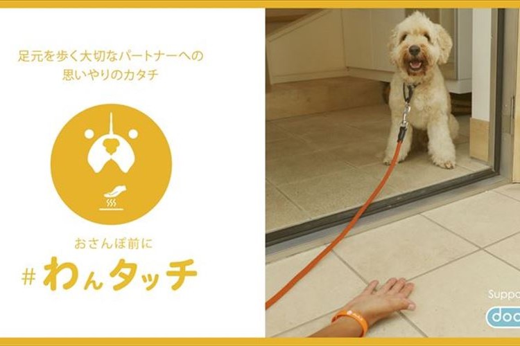 夏の散歩は犬の肉球が危険!愛犬を火傷から守る「#わんタッチ 」を習慣に