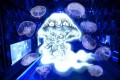 夏は~水辺で運動会~♪「すみだ水族館✕水木しげる」初のコラボに背筋が凍りそうだと話題!