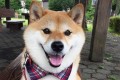 「アタシね、この公園気に入ったから帰らないよ」不動で意志表示をする姿が可愛いと話題!