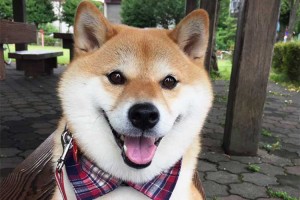 「アタシね、この公園気に入ったから帰らないよ」不動で意志表示をする姿が可愛いと話題！