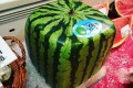 「大きなサイコロみたいだな」今年も“四角スイカ”が出荷…観賞用として1個1万円以上