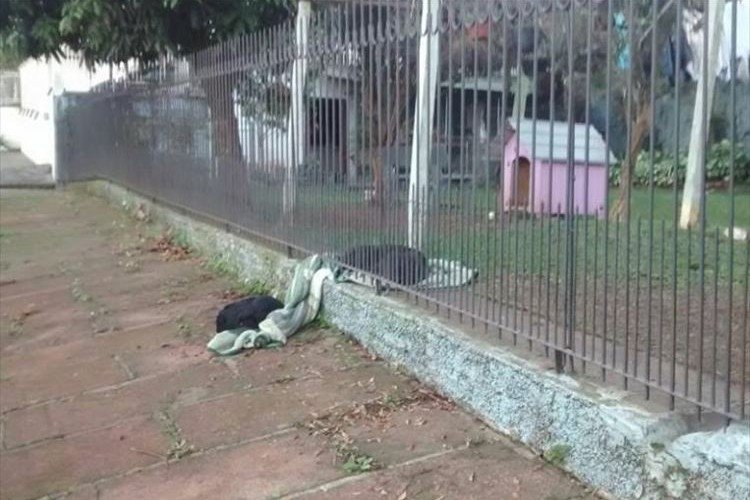 「優しさが溢れているね」寒さでふるえていたワンコに毛布を差し出していた飼い犬