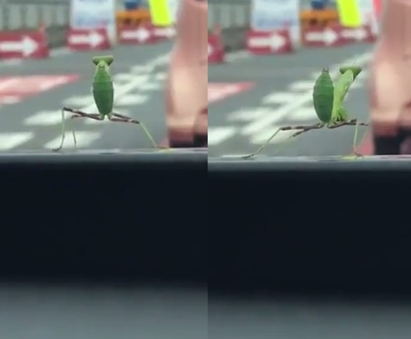 １１かま１-horz_R