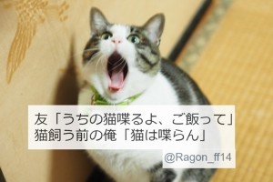 ねこ飼いあるある「うちの猫は喋る」についてのツイートに共感！