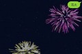 意中の人とLINEで会話が弾み、花火大会にも誘えちゃう裏技が!