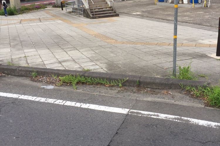 「真ん中をよく見て」と父が言うので見てみると、こんな所にまさかの…