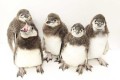 今しか観られない貴重な姿!ペンギンの赤ちゃんが「すみだ水族館」でプールデビュー!