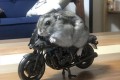 きゃわかっこいい！ライディングポーズが決まっているハムスターが話題に！