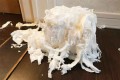 これは芸術!でも一体誰が?朝起きたら家の中にできていた謎のオブジェ。その作者は…