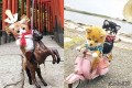 ホンモノみたい!羊毛フェルトでつくられた犬や猫のお人形が可愛いと話題!