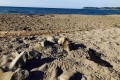 砂浜にバーベキューの炭を放置→男児がやけど…温泉旅館がマナー違反に注意喚起
