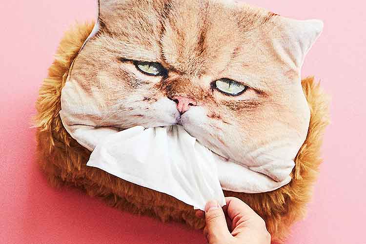 「離すものか」しかめっ面でティッシュを噛む"ふーちゃん"がティッシュカバーに!