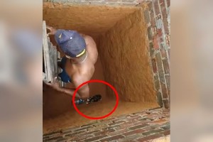 「あ、猫が穴に落ちてる！助けなきゃ！」→まさかの衝撃的な結末が待っていた