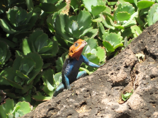 60f37c8f98199310f8fc6245776c3901_s