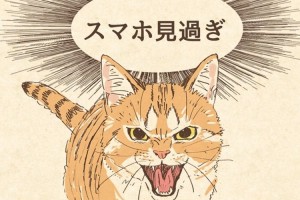 スマホの見過ぎを猫が怒ってくれる待ち受け画像が人気！