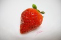 これは写真じゃありません!人の目を惑わすリアルすぎる「絵」が話題に