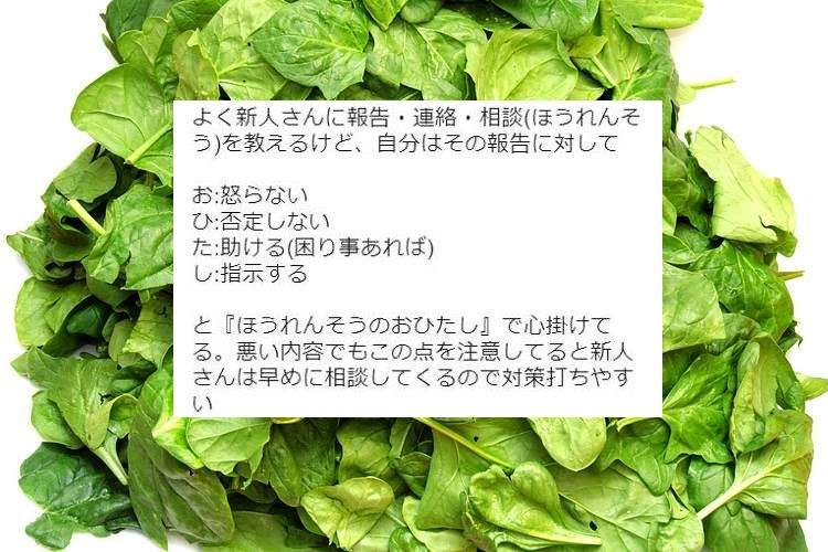 『ホウ・レン・ソウ』…のおひたし！？“新人の心得”に対する“先輩・上司の受け止め方”が話題に